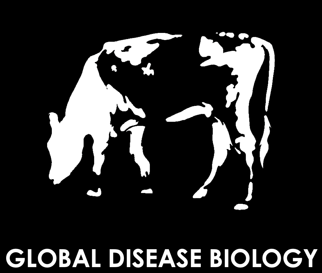 Research & Career Opportunities Global Disease Biology